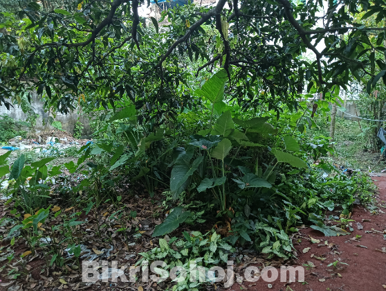 Land Sell at Rajshahi
